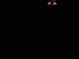 pajaro.gif (321478 bytes)