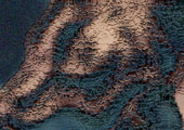 raices.jpg (62369 bytes)