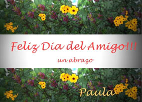 tarjeta4.jpg (26802 bytes)